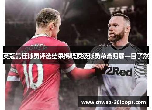 英冠最佳球员评选结果揭晓顶级球员荣誉归属一目了然