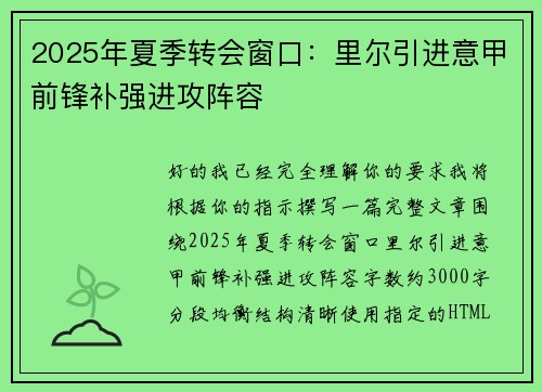 2025年夏季转会窗口：里尔引进意甲前锋补强进攻阵容